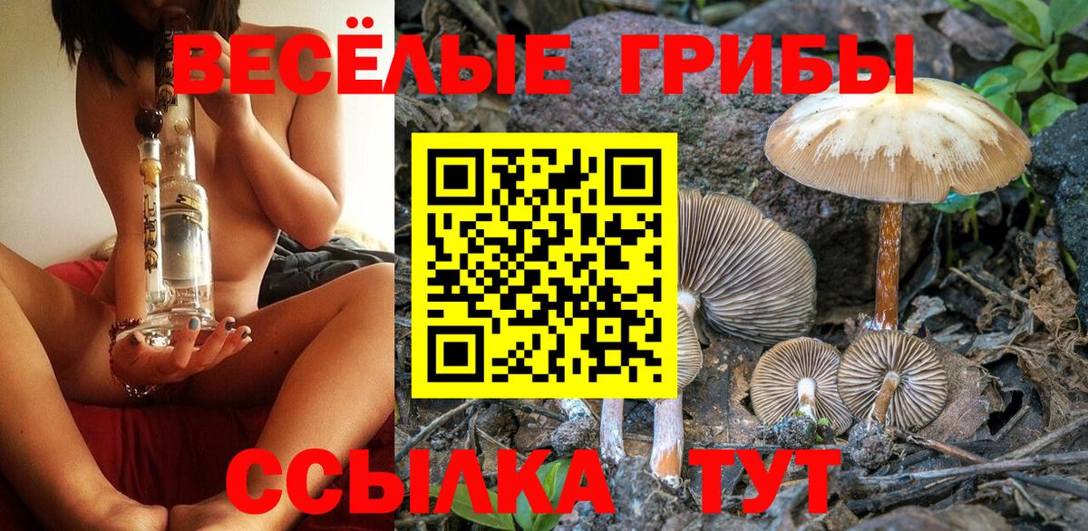 Галлюциногенные грибы Psilocybe  где можно купить   Ковров  Вход с VPN 